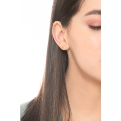 18k yellow gold earrings with heart and paw 2