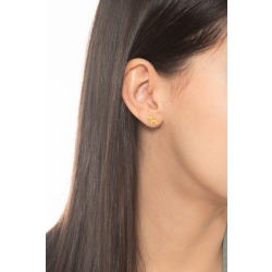 OG CAGNOLINO GIALLO/ ZAMPA ARANCIONE 2